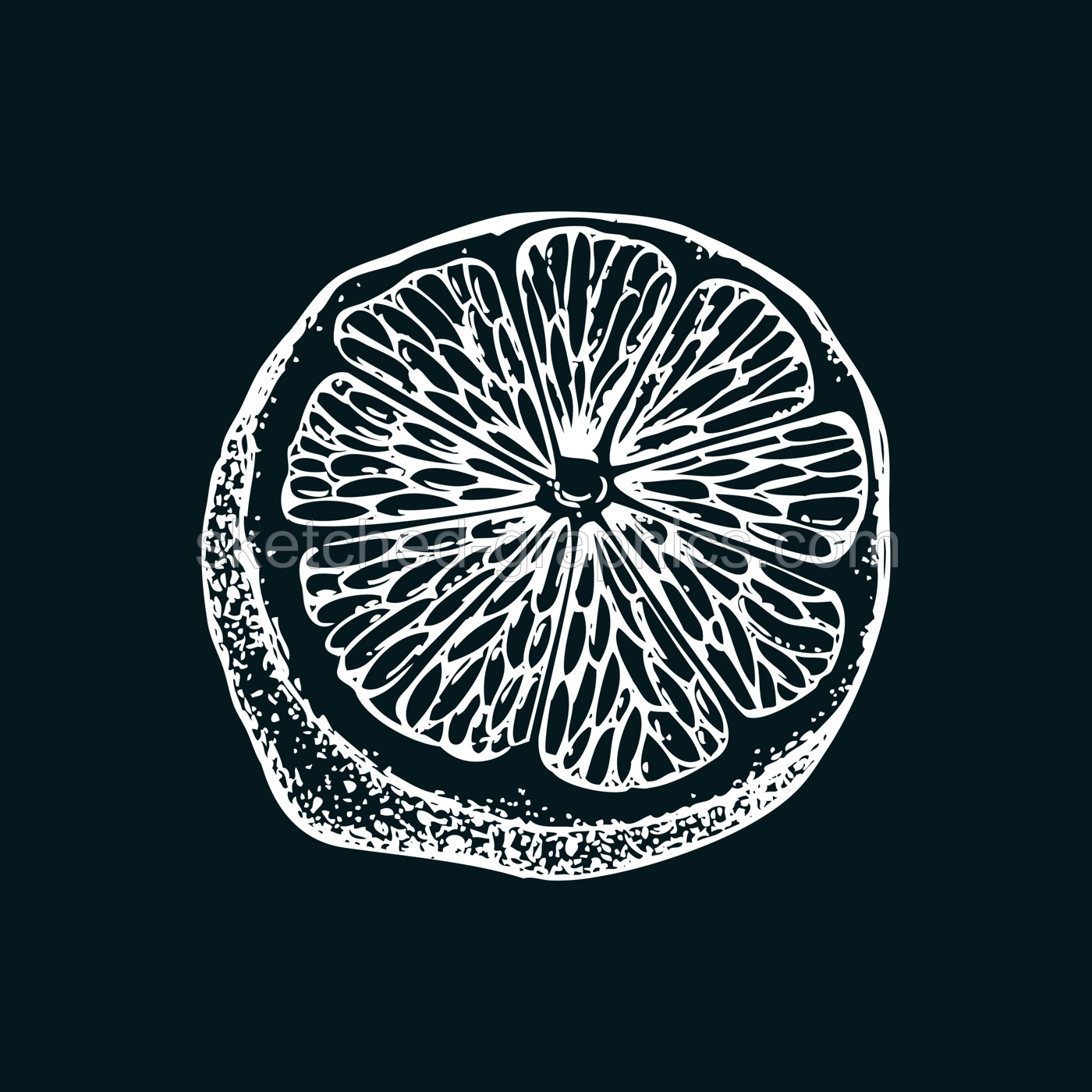 Vintage lime sketch on chalkboard. Citrus fruit slice hand-drawn vector illustration. Exotic plant drawing in engraved style. Botanical design element. NOT AI-generated Illustration